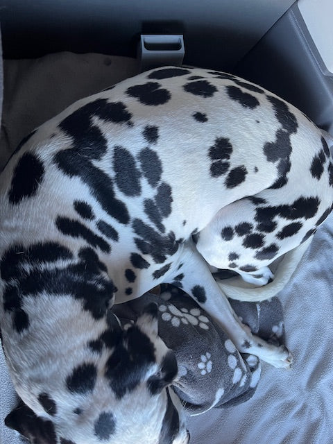 Luftstrom-Adapter für Truma-Luftauslass